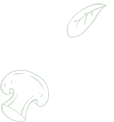 下载APP，即刻观赛 - 黑白体育